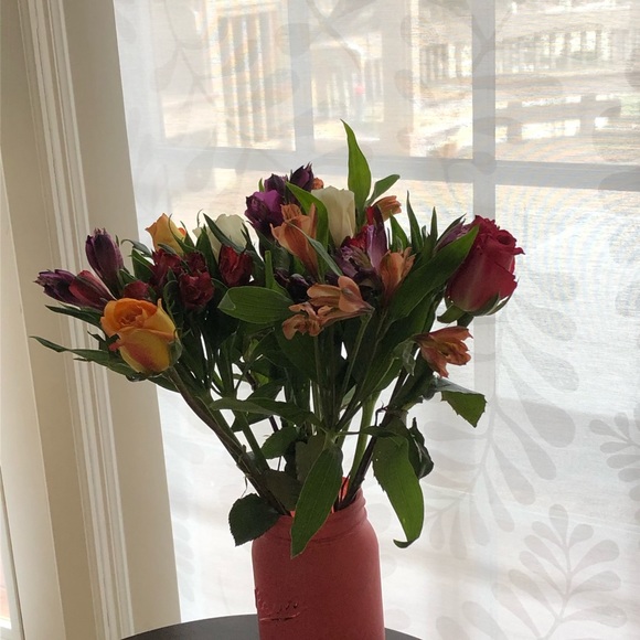 Meet your Posher, Jeni - Picture 1 of 1